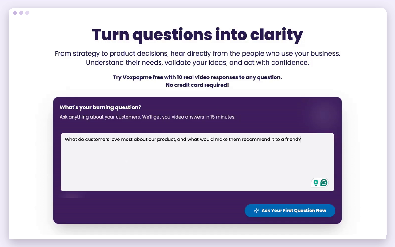 Video survey preview