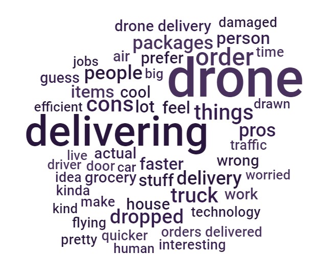 consumer study word cloud drone