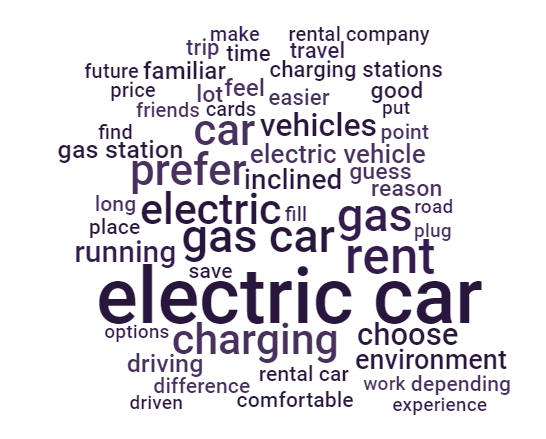electric rental car consumer thoughts word cloud