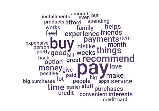 word cloud buy now pay later research