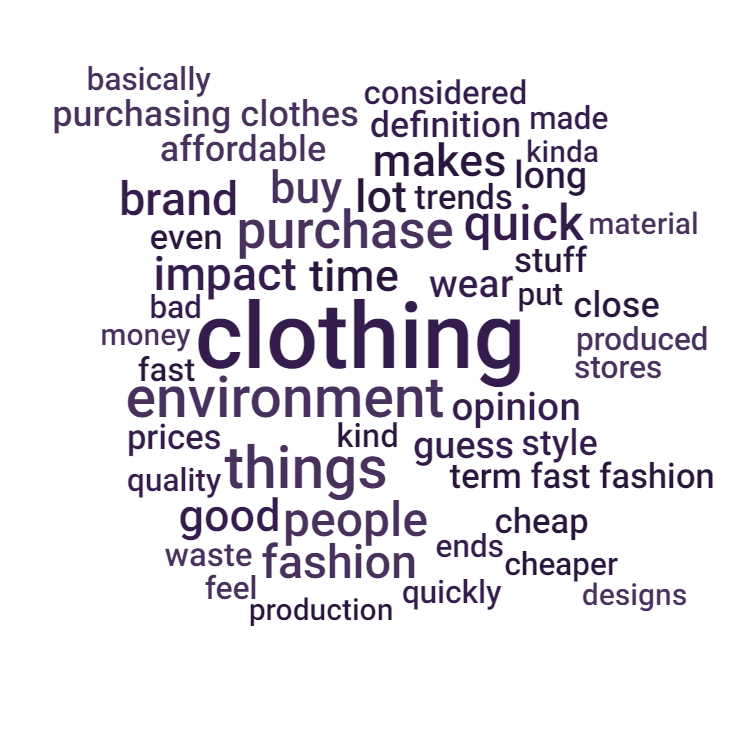 Wordcloud fast fashion survey